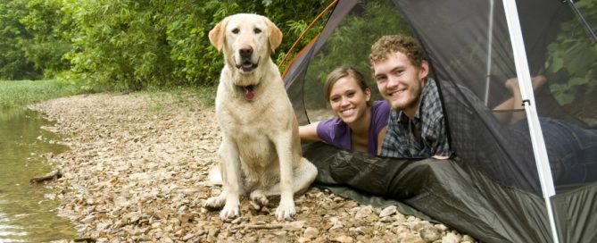 Camping Essentials – Part 2 at RV Park Estes CO