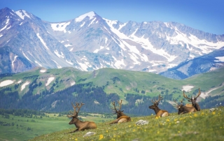 Area Attractions at RV Park Estes CO