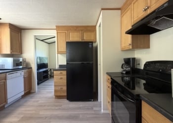 C8 Rustic Bear Lodge Kitchen View